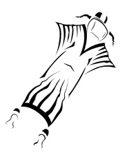 190x228 Wingsuit Flying