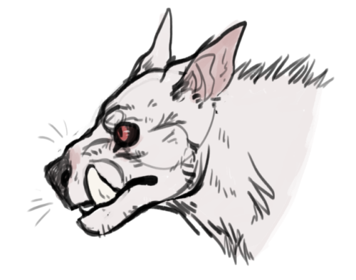 500x393 Skyrim Oc Tumblr