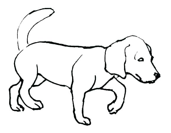 579x451 Coloring Pages Of A Dog Coloring Pages Of Dogs And Cats Printable