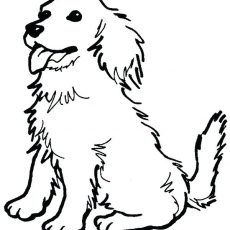 230x230 Interesting Inspiration Sled Dog Coloring Pages Drawing