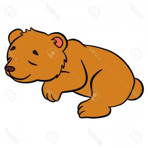 300x300 Cute Cartoon Baby Bear Drawing Brown Soidergi