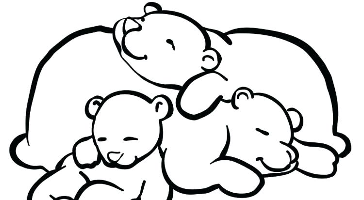 750x413 Koala Bear Coloring Pages Koalas Baby Koala Bear Coloring Pages