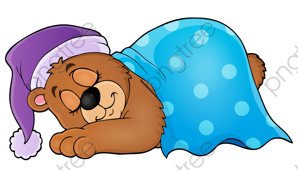 1000x570 Transparent Sleeping Bear Png Format Image With Size