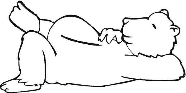 650x325 Bear Template