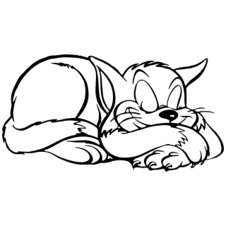 320x320 Hd Cat Transparent Images