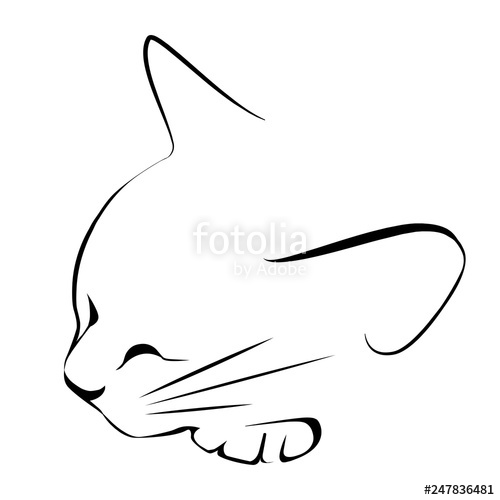 500x500 Logo Drawing Sketch Sleeping Black White Cat Stock Image
