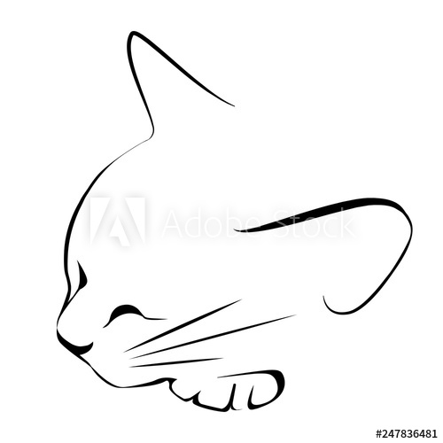 500x500 Logo Drawing Sketch Sleeping Black White Cat