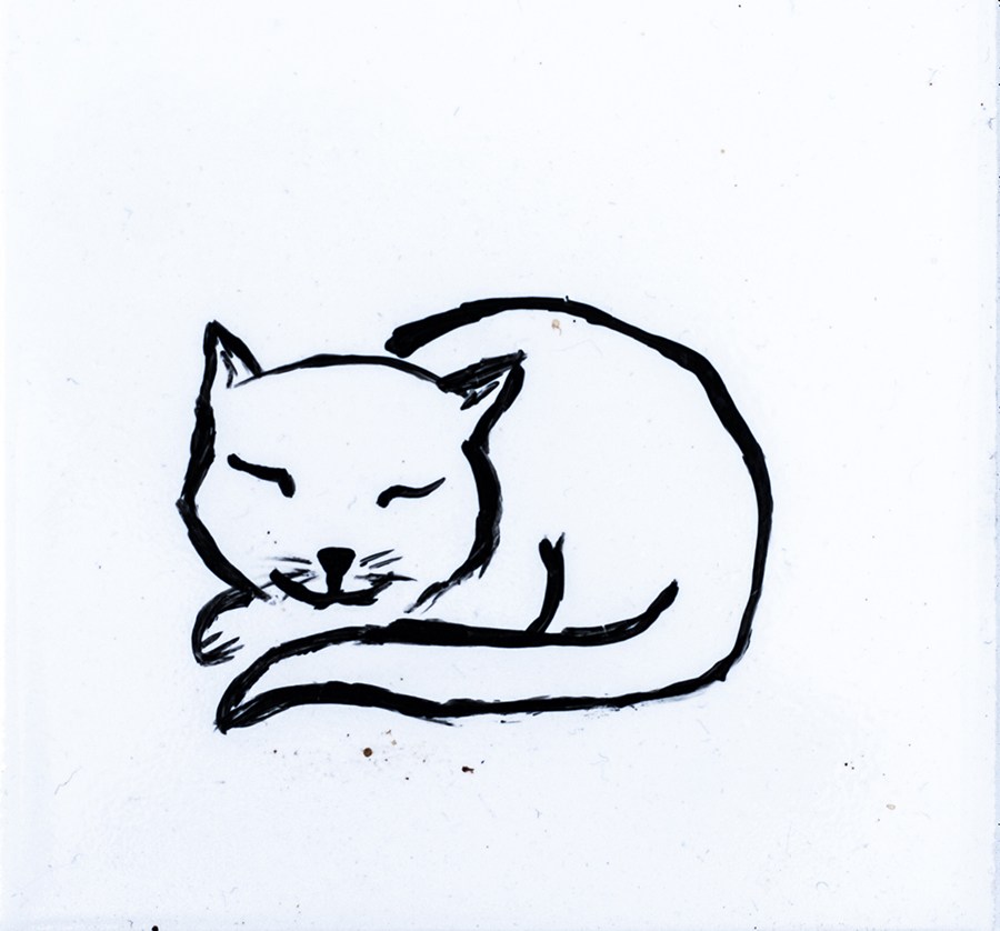 900x838 The Sleeping Cat Coaster Mc Art