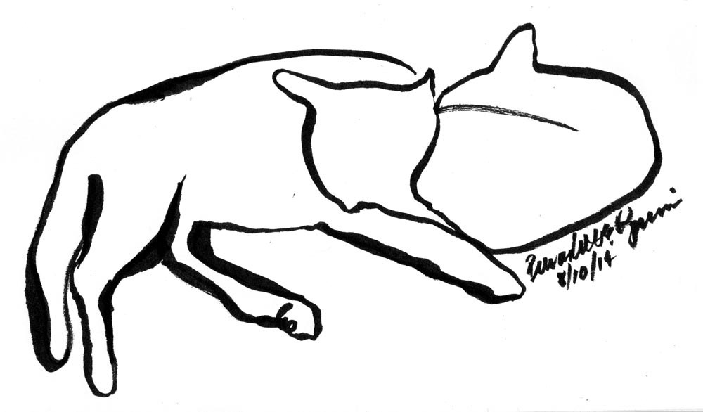 1000x586 Line Art Sketch Of Cat Archives The Creative Cat