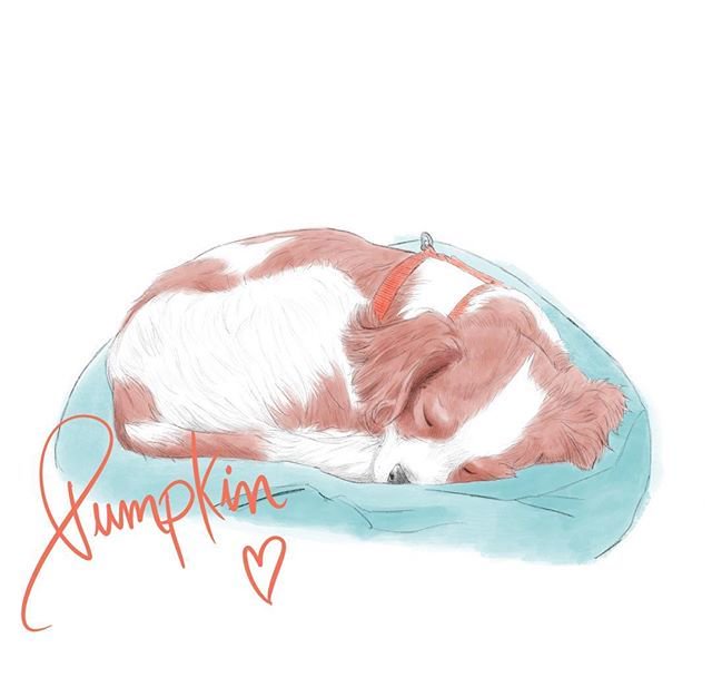 640x626 gabriela emi sanada on twitter sleep tight little pumpkin