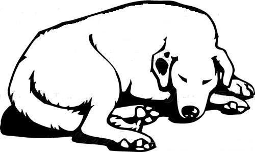 500x298 sanity sentinel first, the sleeping dog growls