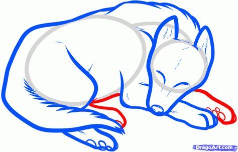 474x303 How To Draw A Sleeping Dog, Sleeping Dog Step Art Lessons