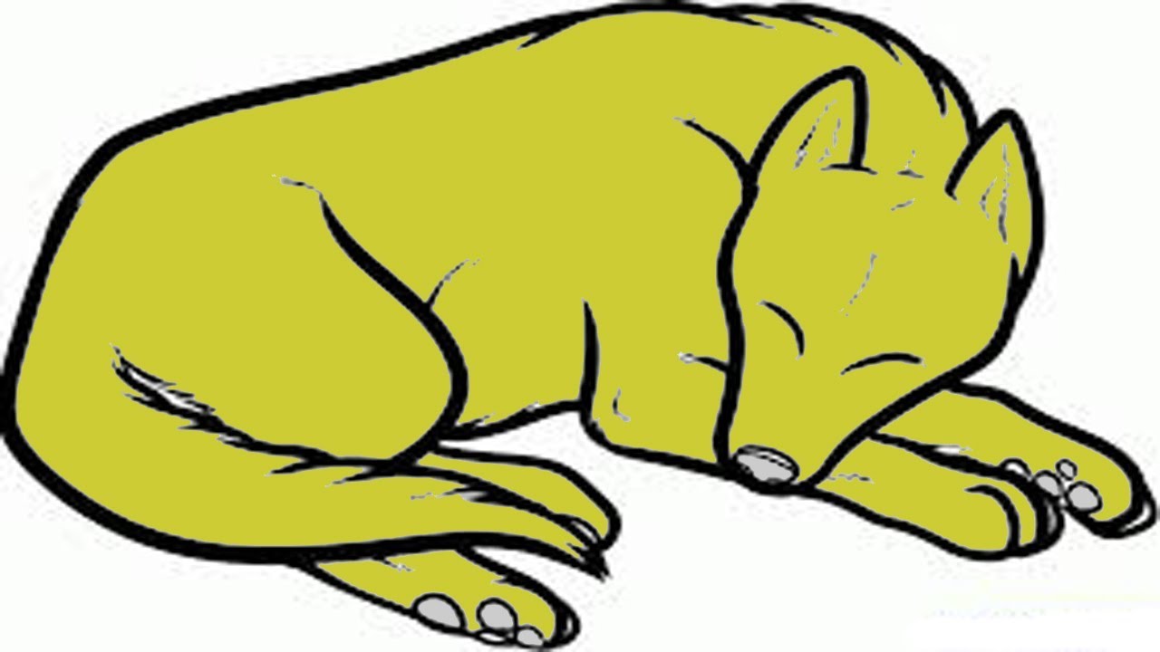 1280x720 Coloring Pages How To Draw A Sleeping Dog