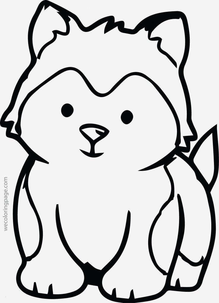 740x1024 Fresh Sleeping Animals Coloring Pages