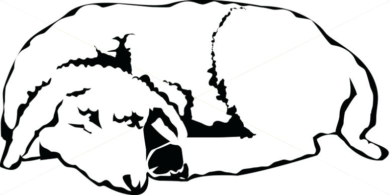 776x388 Sleeping Sheep The Lamb In Black And White Drawing Nataliebaker