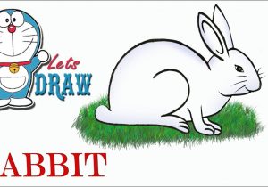 300x210 How To Draw A Easy Bunny Step