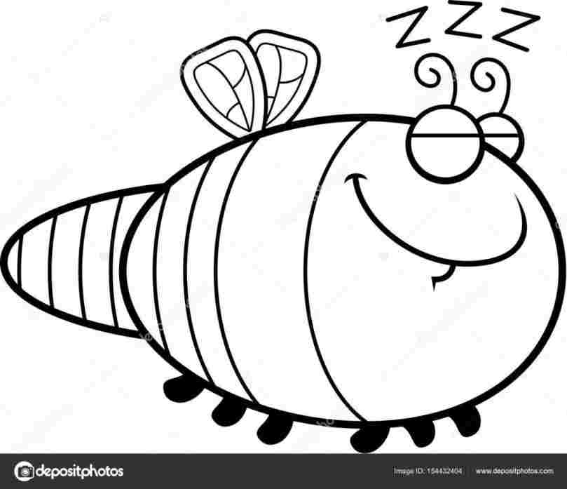 809x697 Compilation We Are Rhcouk Bear Sleeping Drawing Cartoon