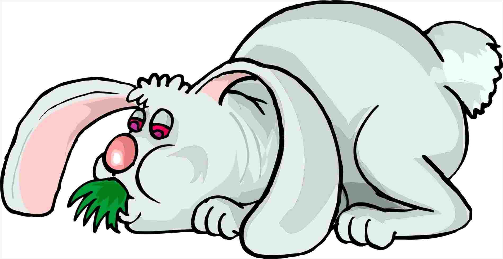 1899x981 Warmup Buns With A Special Rhcouk How To Draw Cute