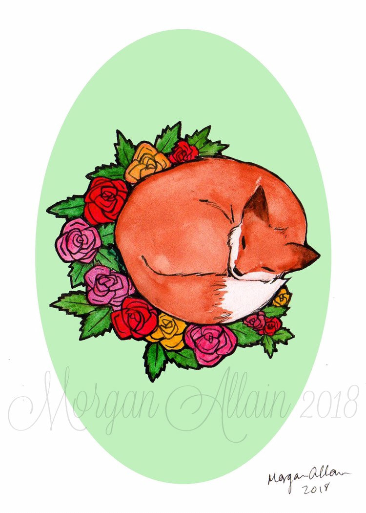 750x1050 Sleeping Fox Art Print Etsy