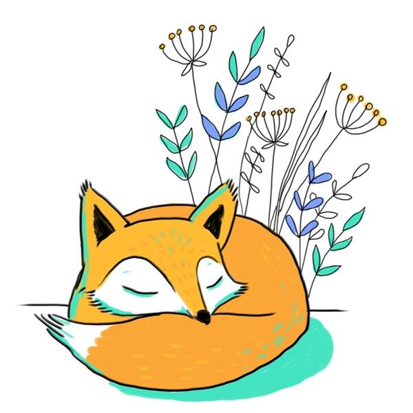 600x600 Sleeping Fox Lisichki In Fox Illustration, Fox Drawing