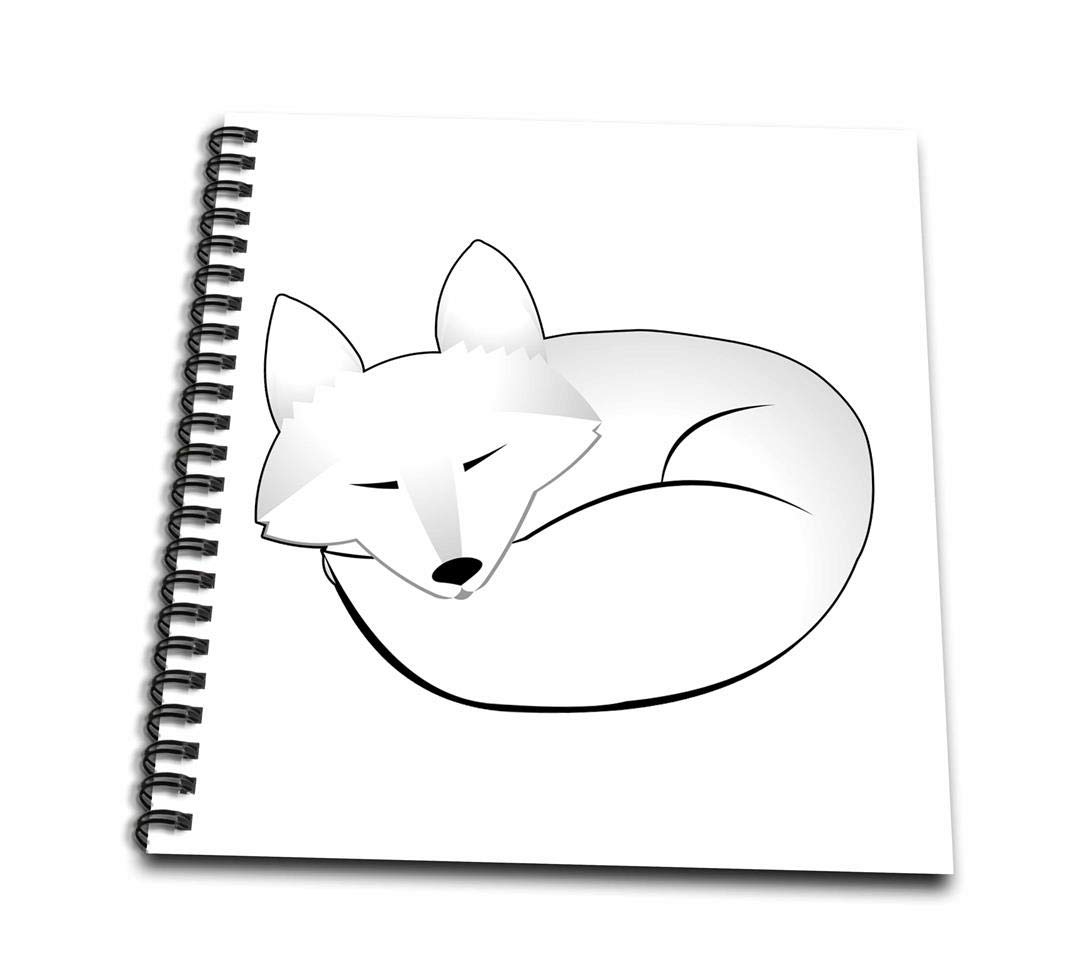 1070x973 db cute sleeping artic fox drawing