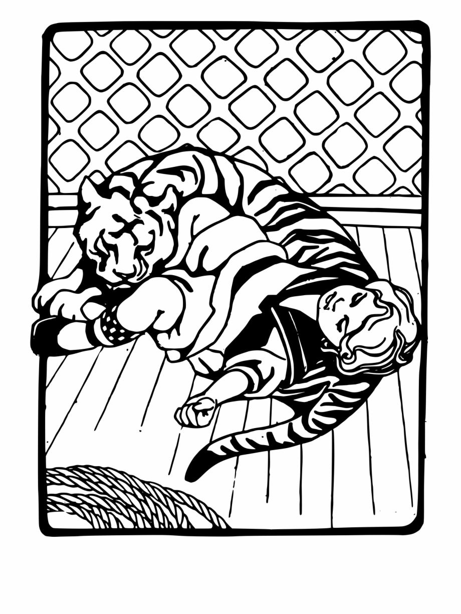 920x1225 Girl Sleeping With Tiger Free Png Images Clipart Download