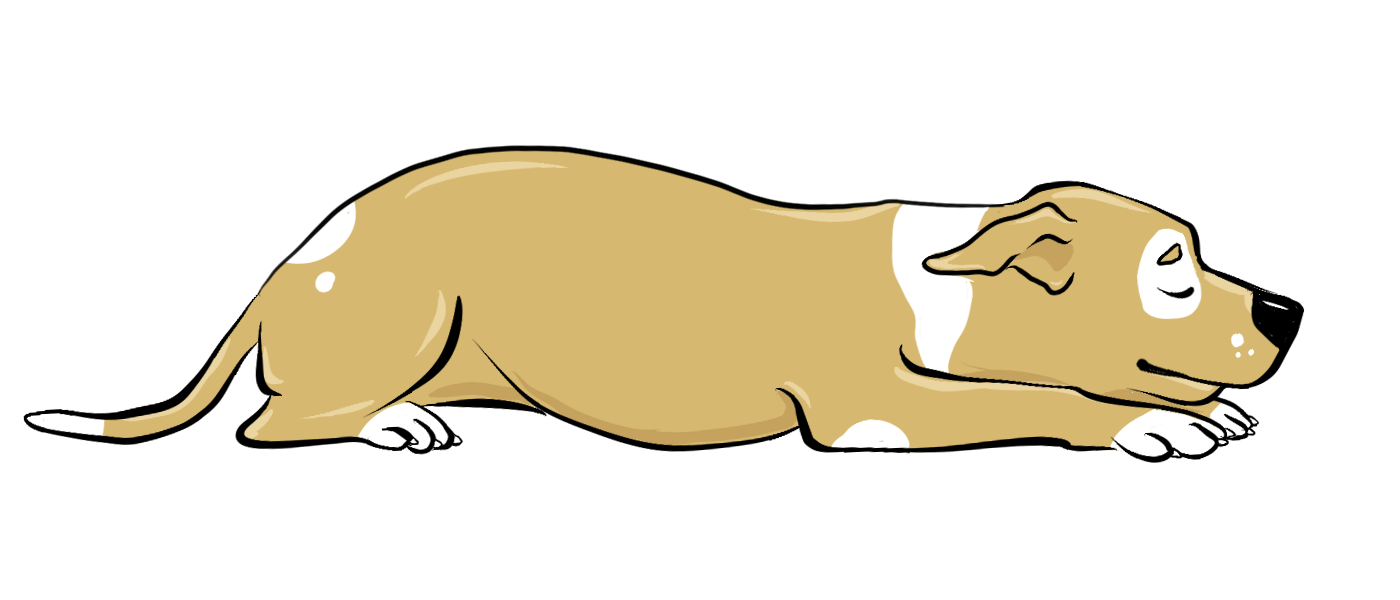 1400x600 Dog Sleeping Positions And What They Mean Petmd