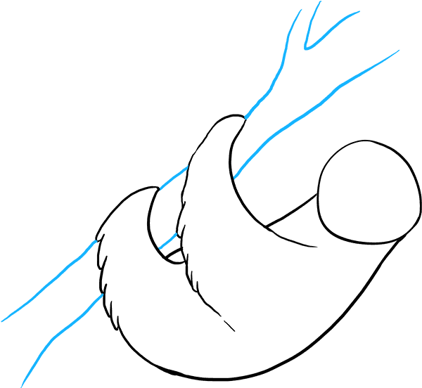 600x552 Download How To Draw Sloth