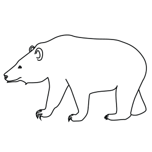 300x300 How To Draw A Sloth Bear