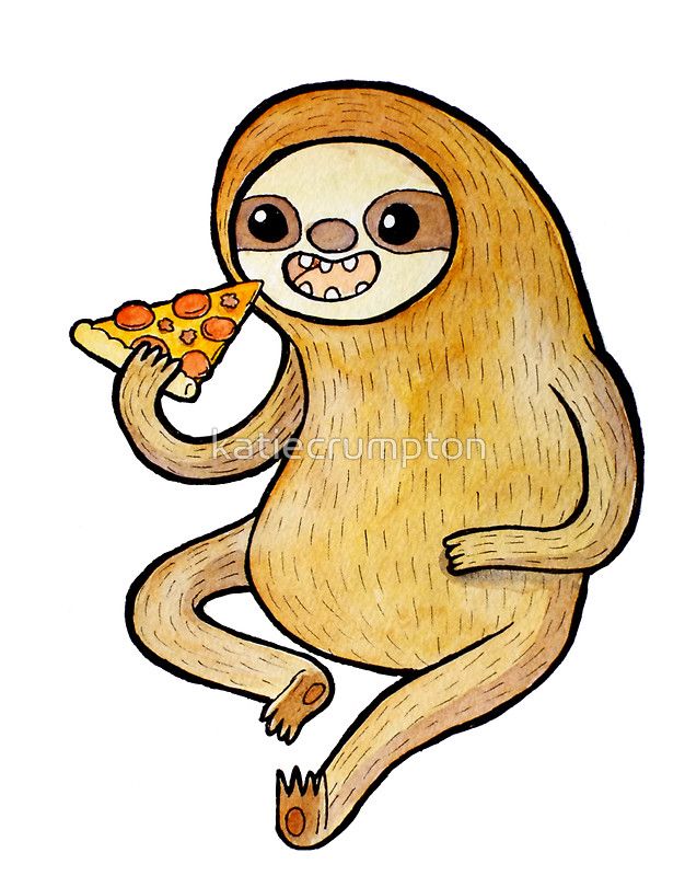 626x800 sloth eating pizza sticker in sloths sloth eating