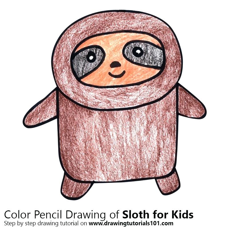 800x800 sloth for kids how to draw a sloth for kids worksheet accounting