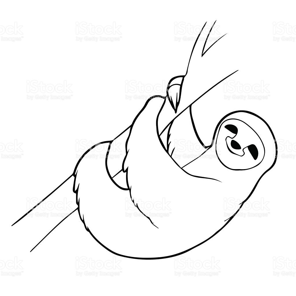 1024x1024 Sloth Drawing Vector For Free Download