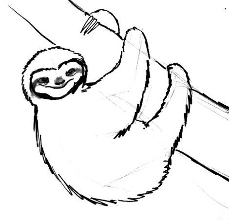 470x452 Easy Sloth Drawings