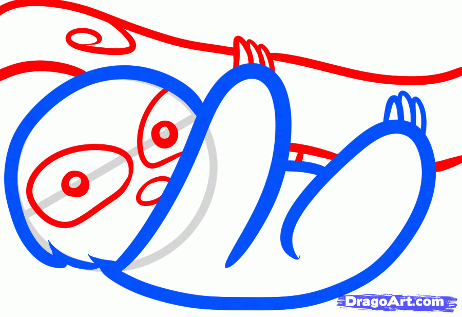 900x617 How To Draw A Sloth For Kids, Step