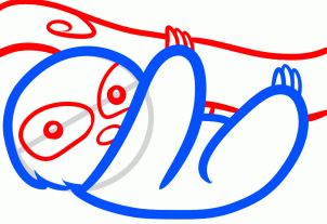 302x207 How To Draw How To Draw A Sloth For Kids