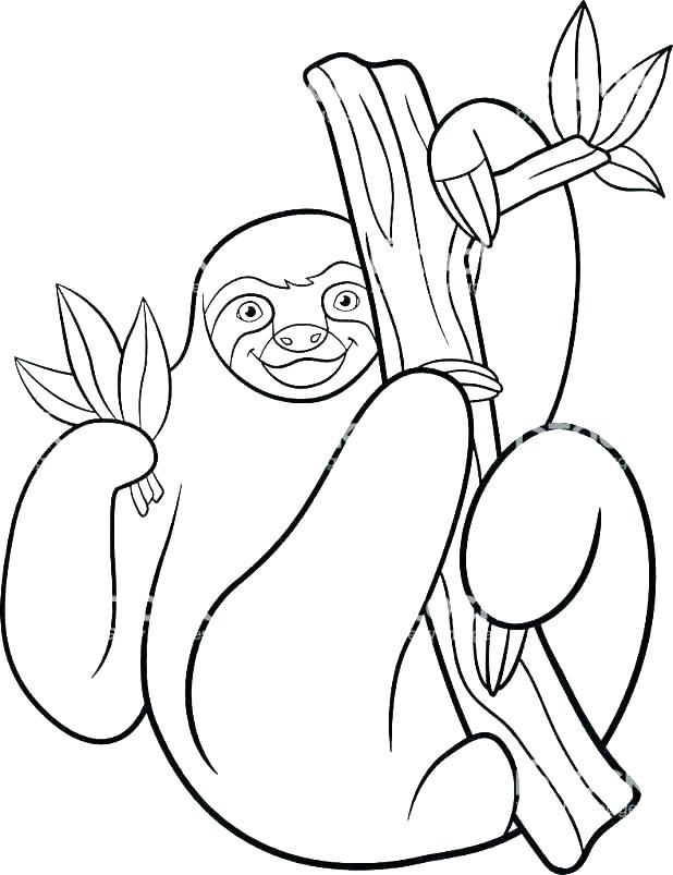 618x803 How To Draw A Sloth For Kids