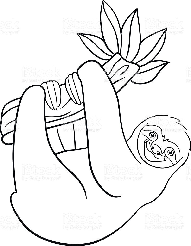 794x1024 New Sloth Coloring
