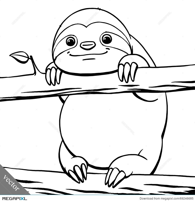 800x830 Sloth Drawing Vector For Free Download