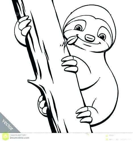 468x500 Sloth Coloring