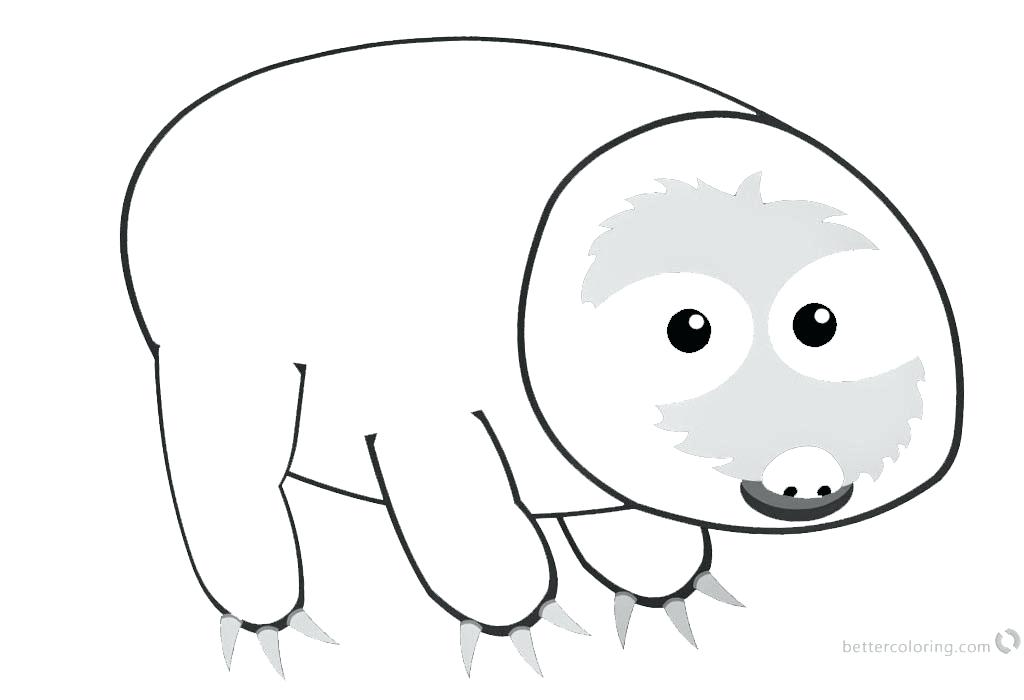 1024x700 Sloth Coloring