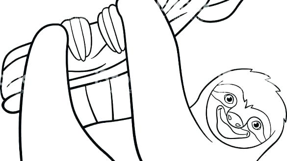585x329 Sloth Coloring