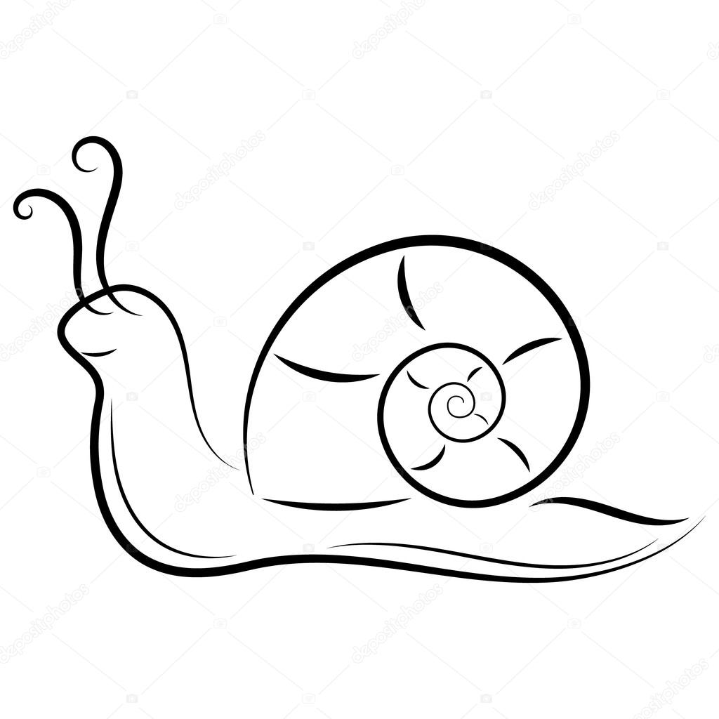 Slug Drawing