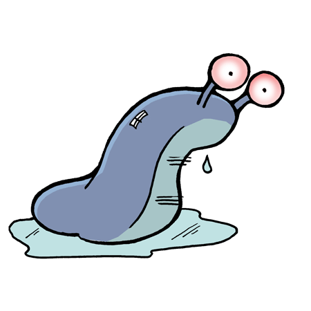 450x450 Everything You Always Wanted To Know About Slugs, But Were Afraid