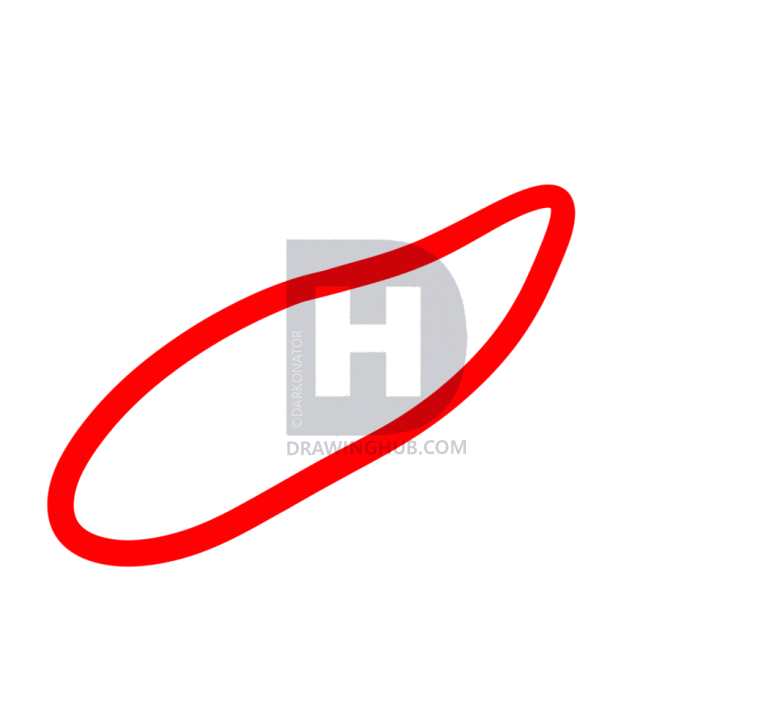 763x720 how to draw a blue sea slug, glaucus atlanticus, step