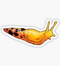 210x230 Slug Drawing Gifts Merchandise Redbubble