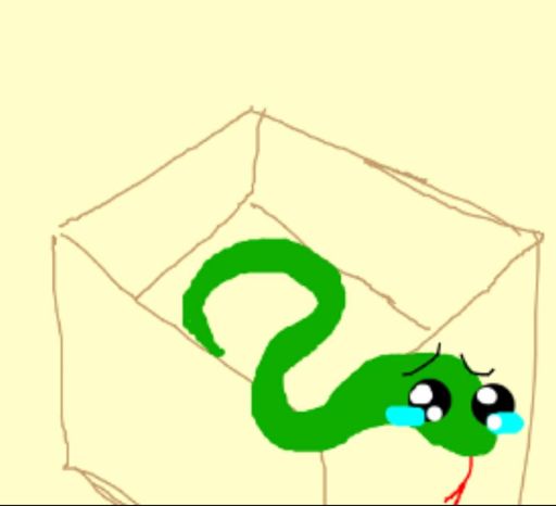 512x466 Slytherin Harry Potter Amino