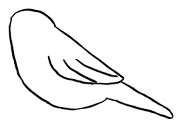 359x263 Draw A Chickadee