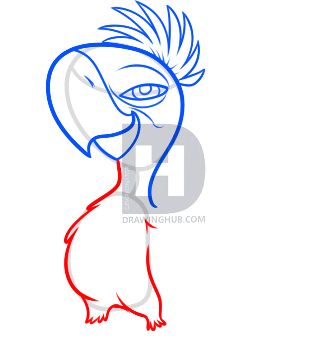 668x720 How To Draw Tiago From Rio Step