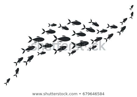 450x320 Small Fish Drawing Easy Fish Drawing Step