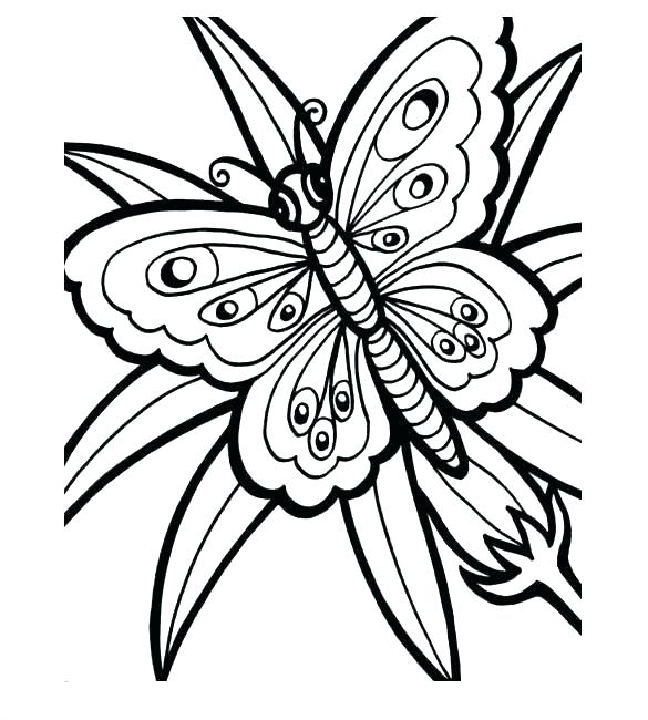585x650 Free Butterfly Template Download Clip Art On Printable Free